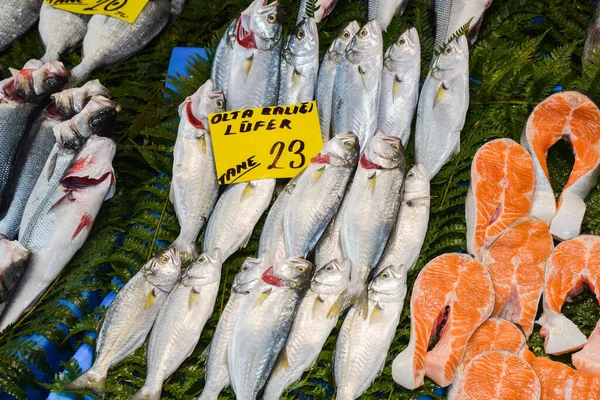 이스탄불 2019 카운터 위에서 판매하는 해산물 — 스톡 사진