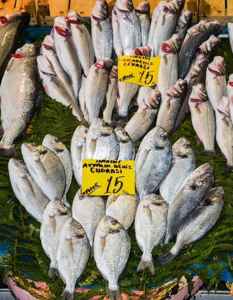 Istanbul Turecko 2019 Čerstvé Mořské Plody Pultu Rybího Trhu Prodej — Stock fotografie