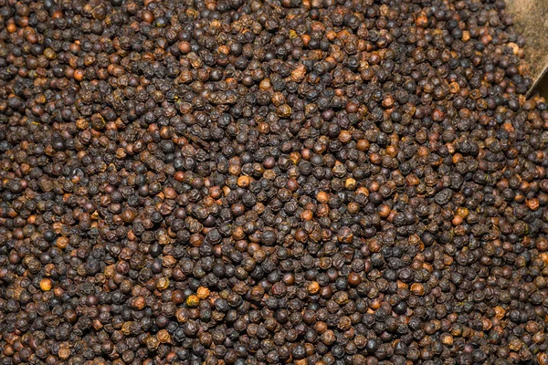 Mixed Peppercorns Background Different Colored Peppercorns Close — Stock Photo, Image