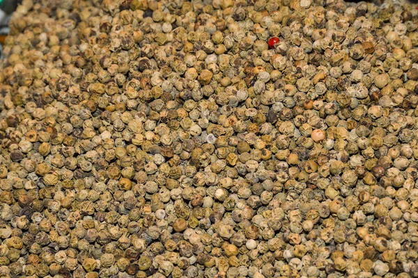 Mixed Peppercorns Background Different Colored Peppercorns Close — Stock Photo, Image