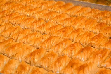 Geleneksel baklava tatlısı tatlısı, otel brunch 'ı sırasında kataif hamur işi havuzun yanındaki bahçede açık büfe. Taze Yemek Büfesi Yemek Yemeği Paylaşım Partisi Konsepti