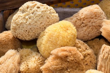 Doğal sünger. Yakın temizleme ve yıkama için doğal deniz süngeri. Spa ve Wellnes- antiselülit spa masaj fırçası, sünger, havlu ve sabun. Pazarda satılık deniz süngeri.