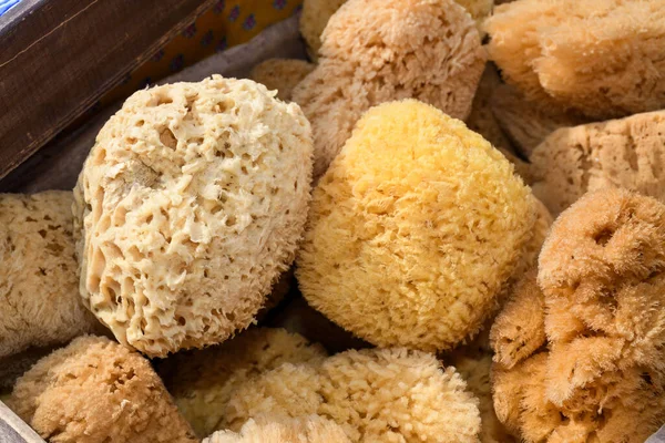 Natural sponge.Natural sea sponges for cleaning and washing closeup.Spa and Wellness- anti-cellulitis spa massage brush, sponge, towel and soap.Sea sponges for sale at a market