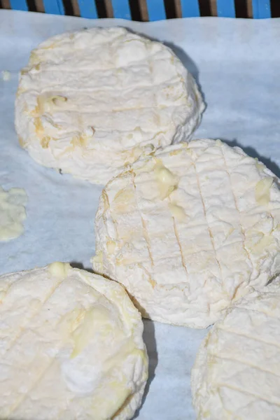 Brie Typ Ost Camembertost Färsk Brieost Och Skiva Träskiva Med — Stockfoto