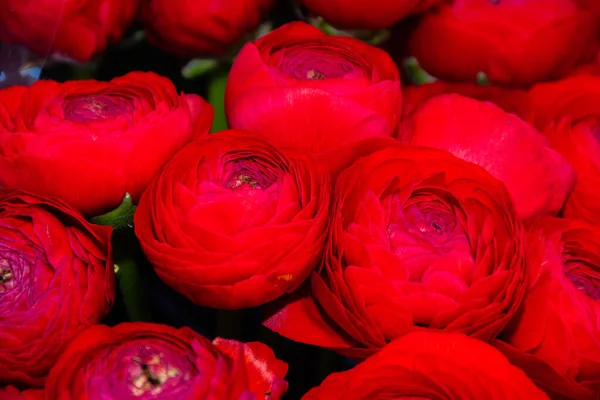 Çiçekler Çiçek Pazarında Buket Düzenlemesi Anneler Günü Kadınlar Günü Sevgililer — Stok fotoğraf