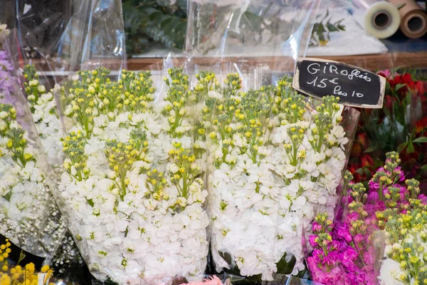 Fiori Mercato Dei Fiori Bouquet Disposizione Ideale Feste Come Festa — Foto Stock