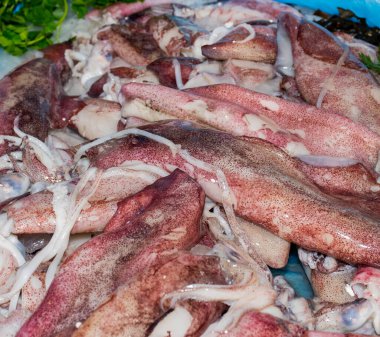 Balık pazarındaki buzlu deniz ürünleri: kalamar