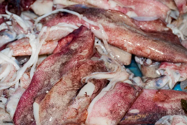 Mariscos Sobre Hielo Mercado Pescado Calamares —  Fotos de Stock