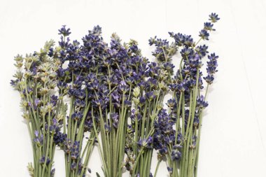 Beyaz ahşap arka planda bir demet menekşe ve kurutulmuş lavanta çiçeği buketi. Aromatik bitki, tıbbi homeopatik ilaçlar için kullanılır. Kopyalama alanı ile basit görsel, metin için boşluk