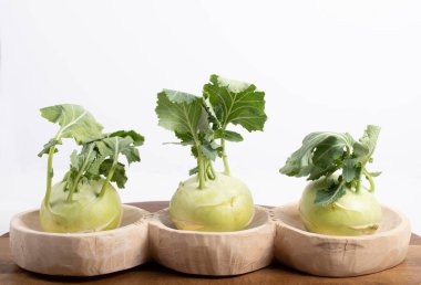 Üç parça kohlrabi sebzesi, basit sarı arkaplanda, kopyalama alanı ile izole edilmiş. Lahana ve turp familyasından yeşil yapraklı sebzeler, bahçede yetişen biyolojik ve organik bitkiler.