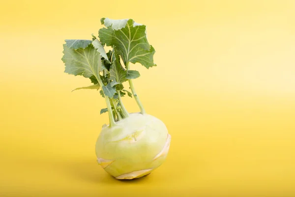 Three pieces of kohlrabi vegetable isolated on yellow simple background with copy space. Green leafy vegetable from cabbage and radish family, bio and organic grown from the garden