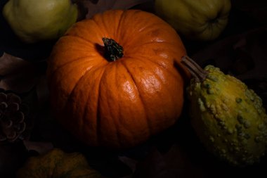 Sonbahar yaprakları ve meyvelerle sonbahar balkabağı karartılır.