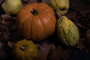 Sonbahar yaprakları ve meyvelerle sonbahar balkabağı karartılır.