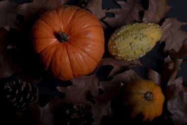 Sonbahar yaprakları ve meyvelerle sonbahar balkabağı karartılır.