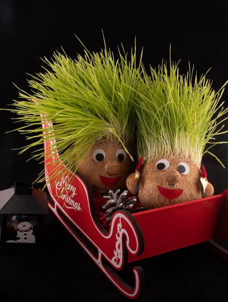 Germinated wheat, a tradition of Saint Andrews Day. Handmade doll stuffed with wood shavings — Stock Image Germinated Wheat Tradition Saint Andrews Day Handmade Doll Stuffed Wood Stock Photo