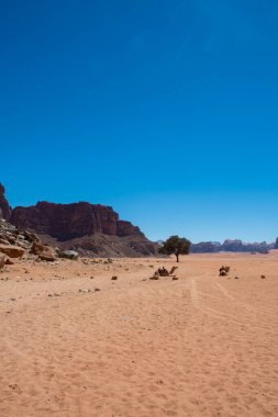Amman, Ürdün, 17 Mart 2019: Wadi Rum (Ay Vadisi) Ürdün 'ün en güneyinde, Arap çölünün batı kıyısında yüksek bir platoda yer almaktadır..