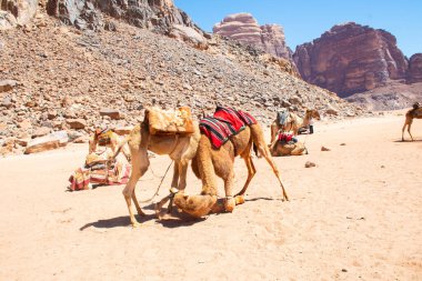 Amman, Ürdün, 17 Mart 2019: Wadi Rum (Ay Vadisi) Ürdün 'ün en güneyinde, Arap çölünün batı kıyısında yüksek bir platoda yer almaktadır..