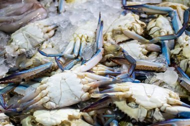 Hurghada, Mısır 'daki balık pazarında taze deniz ürünleri.