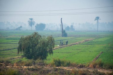Aswan, Mısır, 24 Aralık 2018: Mısır 'da Nil nehri boyunca günlük yaşam. Fakir insanlar günlük hayatlarını yaşıyorlar.