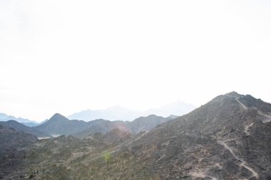 Kahire, Mısır, 24 Aralık 2018: Mısır 'da çöl yardımı, otantik bir Bedevi kampının yanında.