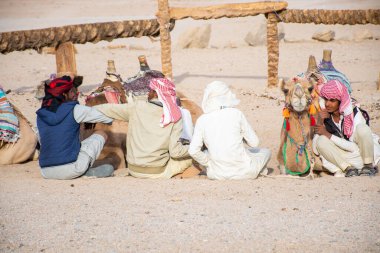 Kahire, Mısır, 24 Aralık 2018: Çölün ortasında Bedevi kampı