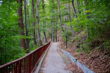 Romanya 'daki Calimanesti Caciulata dağları, Olt nehir vadisi ve doğa manzaralı ormanlar