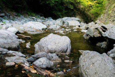 Caciulata, Romana, 09 Nisan 2019: Cascada Lotrisor Şelalesi Romanya 'da