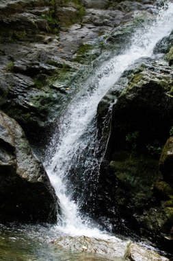 Caciulata, Romana, 09 Nisan 2019: Cascada Lotrisor Şelalesi Romanya 'da