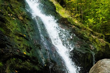 Caciulata, Romana, 09 Nisan 2019: Cascada Lotrisor Şelalesi Romanya 'da