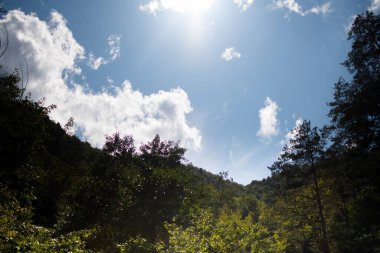 Romanya 'daki Calimanesti Caciulata dağları, Olt nehir vadisi ve doğa manzaralı ormanlar