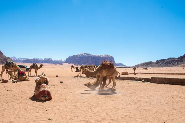 Amã Jordânia Março 2019 Wadi Rum Vale Lua Situa Extremo — Fotografia de Stock