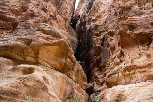 Ammán Jordania Marzo 2019 Khazneh Tesoro Antigua Ciudad Petra Jordania —  Fotos de Stock