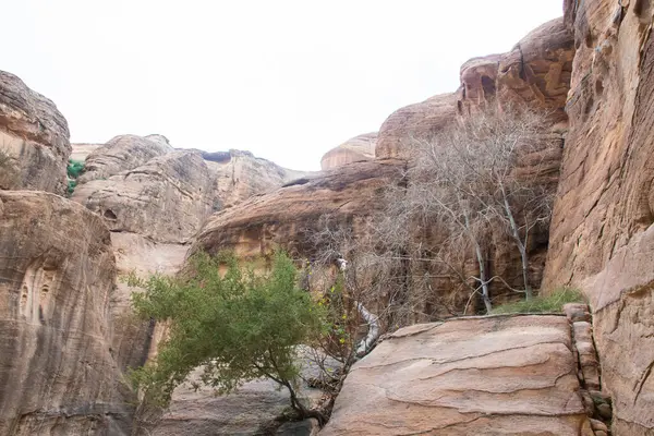 Ammán Jordania Marzo 2019 Khazneh Tesoro Antigua Ciudad Petra Jordania — Foto de Stock