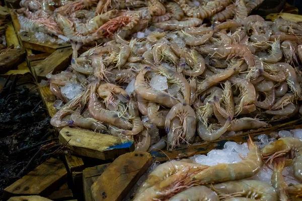 Färska Skaldjur Fiskmarknaden Hurghada Egypten — Stockfoto