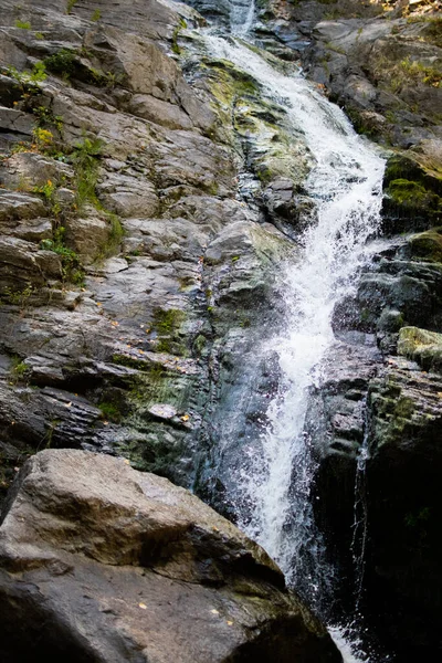 Caciulata Romana 2019 Április Cascada Lotrisor Vízesés Romániában — Stock Fotó