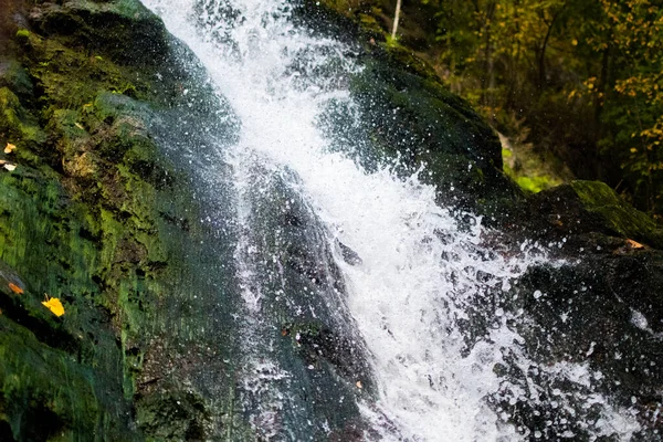 Caciulata Romana Aprile 2019 Cascada Lotrisor Cascata Romania — Foto Stock