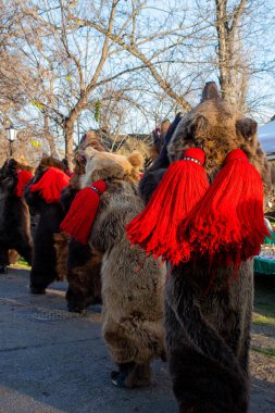 Bükreş, Romanya, 25 Aralık 2019: Balkanlar 'da Noel geleneği festivali, Romen dansçılar ve geleneksel çingene kıyafetleri içindeki aktörler, dans eden ayı gösterisi 