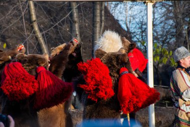 Bükreş, Romanya, 25 Aralık 2019: Balkanlar 'da Noel geleneği festivali, Romen dansçılar ve geleneksel çingene kıyafetleri içindeki aktörler, dans eden ayı gösterisi 