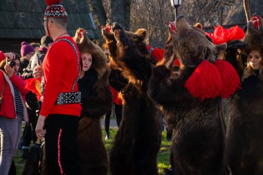 Bükreş, Romanya, 25 Aralık 2019: Balkanlar 'da Noel geleneği festivali, Romen dansçılar ve geleneksel çingene kıyafetleri içindeki aktörler, dans eden ayı gösterisi 