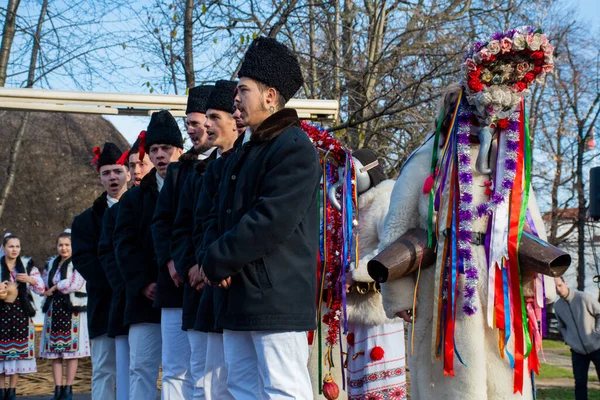 Bukarest Románia 2019 December Karácsonyi Hagyomány Fesztivál Balkánon Román Táncosok — Stock Fotó