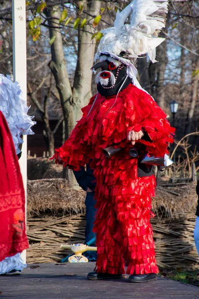 Bucarest Romania Dicembre 2019 Festa Della Tradizione Natalizia Nei Balcani — Foto Stock