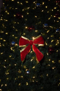 Noel ağacı, gece boyunca, ışıklar ve ortasında kırmızı kurdele ile süslenmiş. Tepede parlayan yıldız