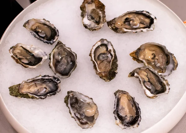 Platte Mit Frischen Austern Meeresfrüchte Während Des Hotel Brunch Buffets — Stockfoto