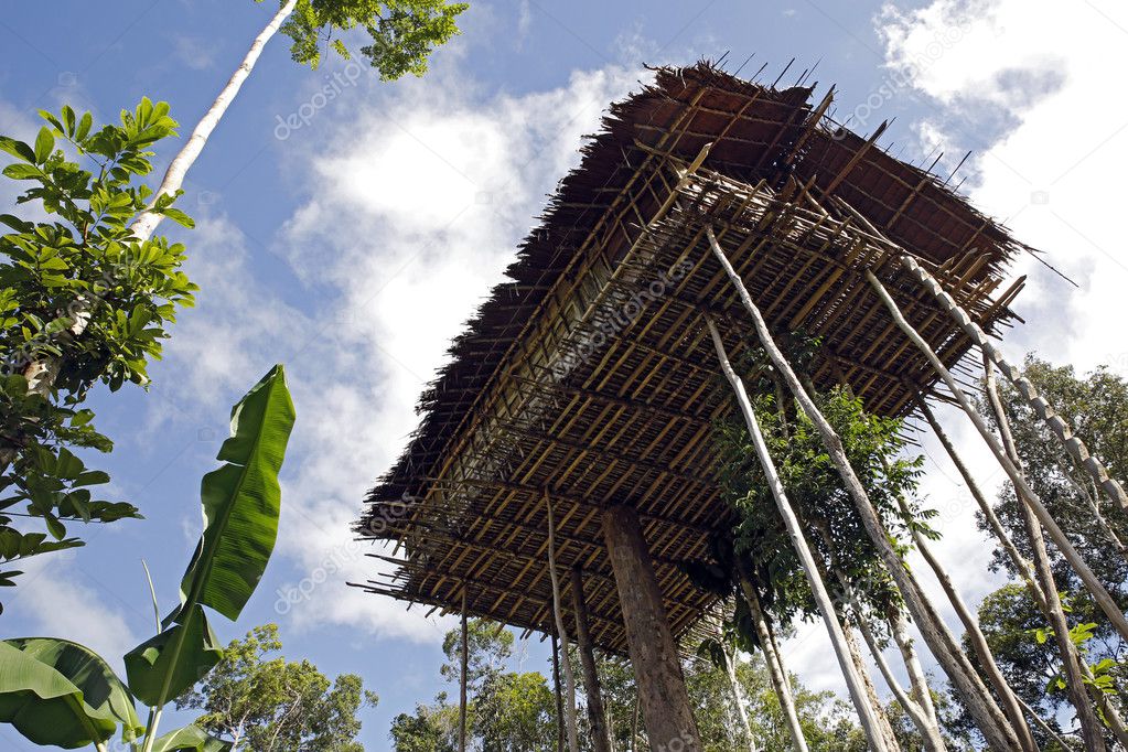 Korowai Tree House 