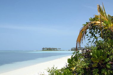 Tropical Beach Maldivler