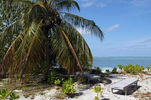 Maldivas playa tropical — Foto de Stock