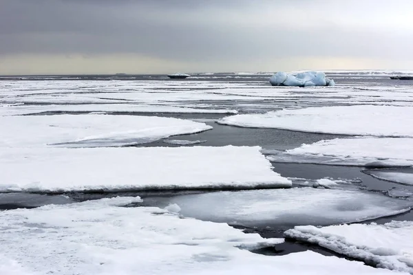 Arctic Ice, Svalbard — Stock Photo, Image