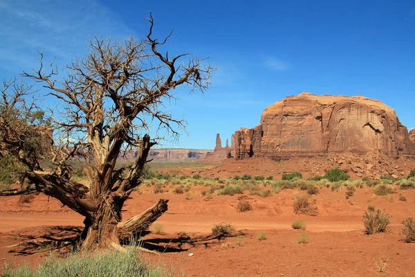 Vista Dal Monument Valley Navajo Tribal Park Utah Stati Uniti — Foto Stock