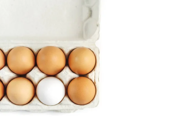 Six eggs in cardboard rack on white background, mockup, copy space. Be different concept. Close up