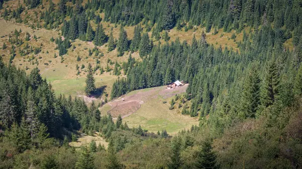 Güzel tepeler ve dağlar güneş ışığı ile dolu